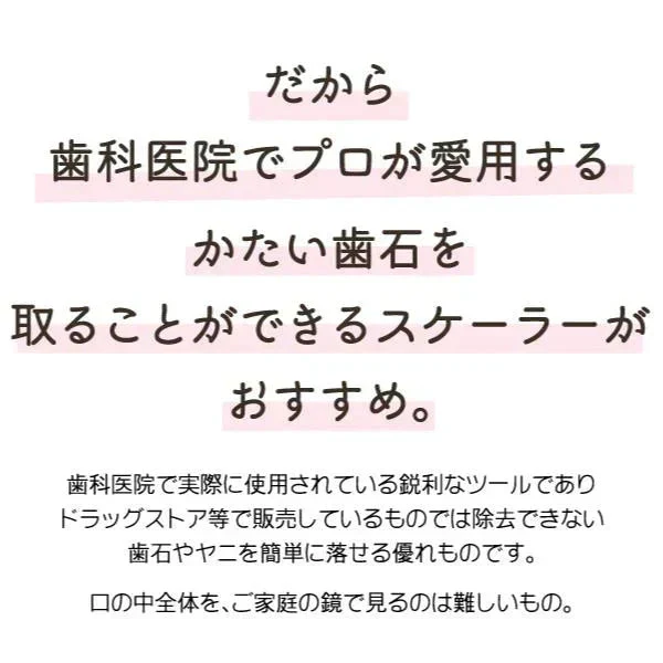 歯石取り 歯石除去 ヤニ取り 歯科専売 両頭鎌型スケーラー H5-33 1本 ／ 実際に歯科医院で使用されているプロ仕様！ 【メール便送料無料】