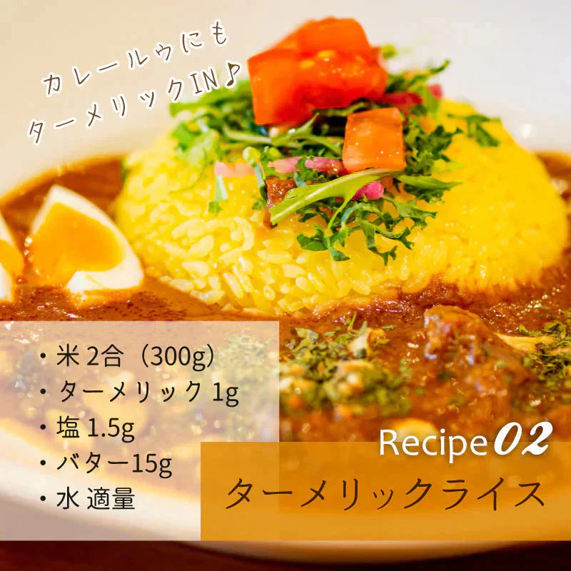無添加 有機 ターメリック 粉末 オーガニック スパイス 500g 100g x5 スリランカ ターメリックパウダー 有機JAS認証 ウコン ハーブ セイロン