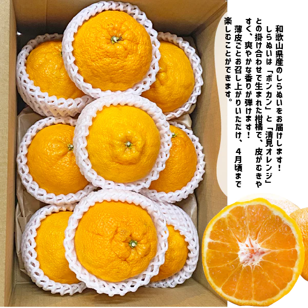 和歌山県産 しらぬい 約2kg 和歌山 不知火 ギフト 自宅用 贈答 柑橘