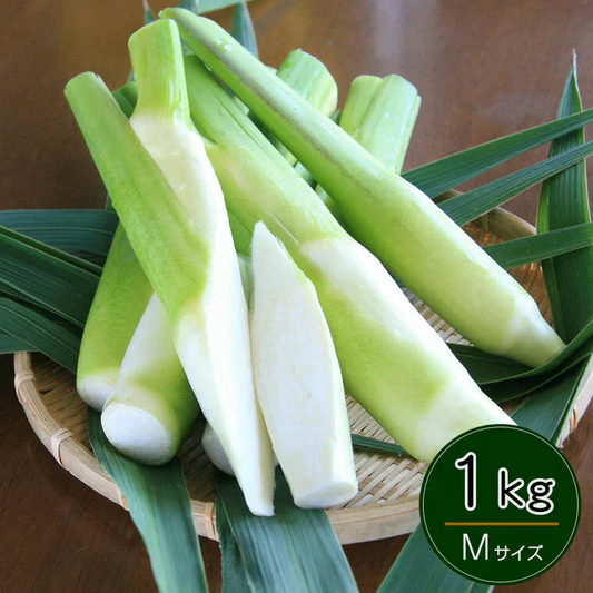 岡山県里庄産 無農薬栽培 マコモタケ（まこもたけ）生 1kg Mサイズ 〈期間限定：9月～11月中旬〉【送料込み】