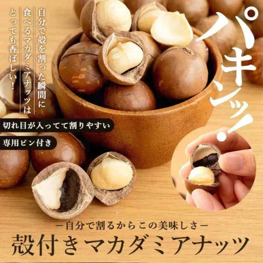 殻付きマカダミアナッツ 300g 送料無料
