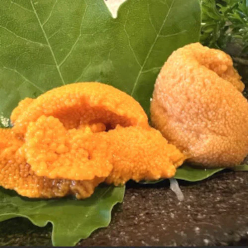 生うに 無添加/ミョウバン不使用 800g / 16人前