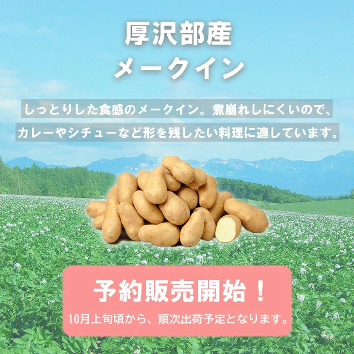 【終了】【10月上旬より順次出荷予定】厚沢部産 メークイン 5kg