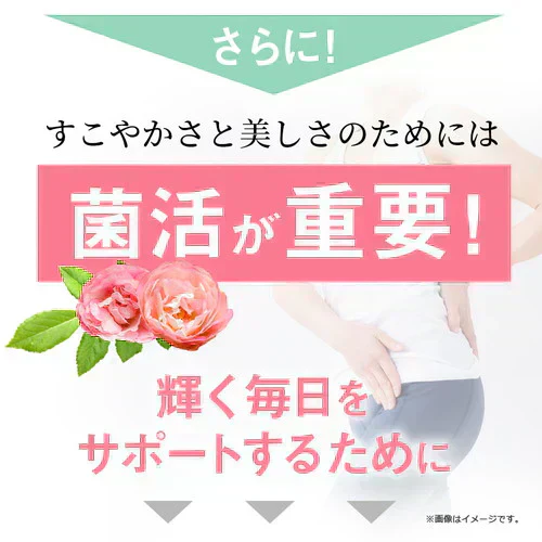 ガセリ菌エクオール まとめ買い 2個セット ガセリ菌 善玉菌 乳酸菌 腸活 菌活 エクオール サプリメント 大豆イソフラボン サプリメント 大容量 お徳用 健康 美容 RoyalBS 日本製