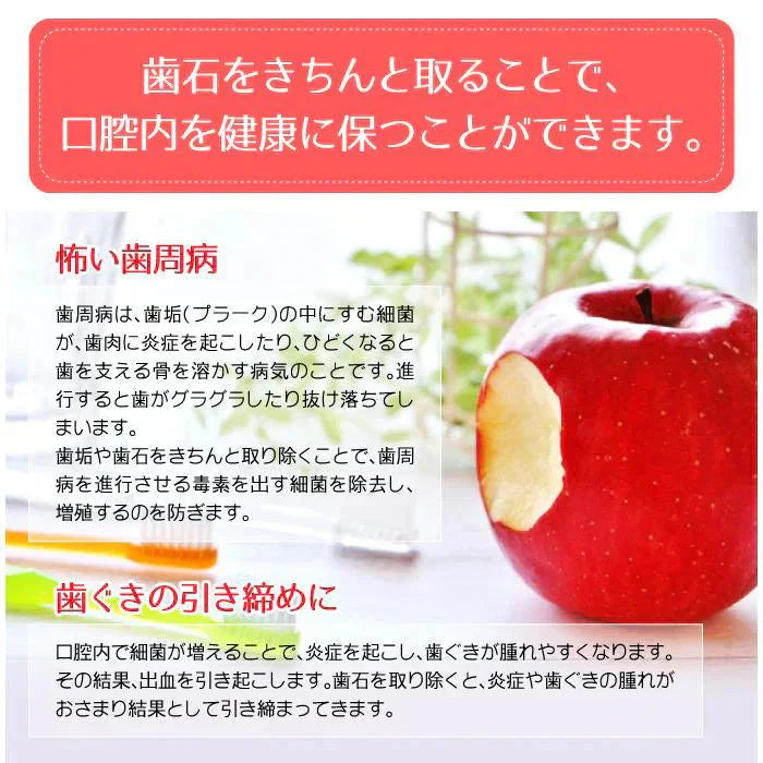 歯石取り 歯石除去 ヤニ取り 歯科専売 両頭鎌型スケーラー H5-33 1本 ／ 実際に歯科医院で使用されているプロ仕様！ 【メール便送料無料】
