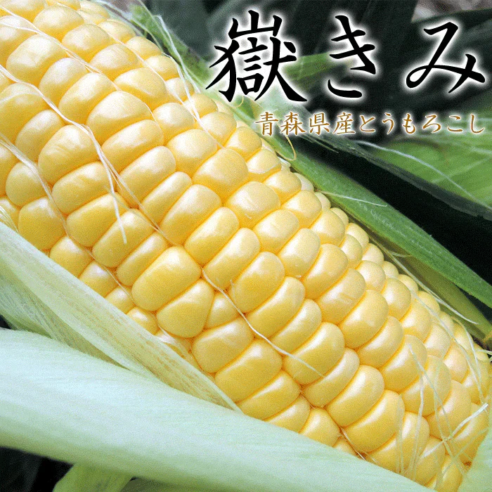 【8月下旬-9月下旬頃発送】嶽きみ とうもろこし 青森県が誇るプレミアム 24本セット まるで果物のような甘さ トウモロコシ コーン