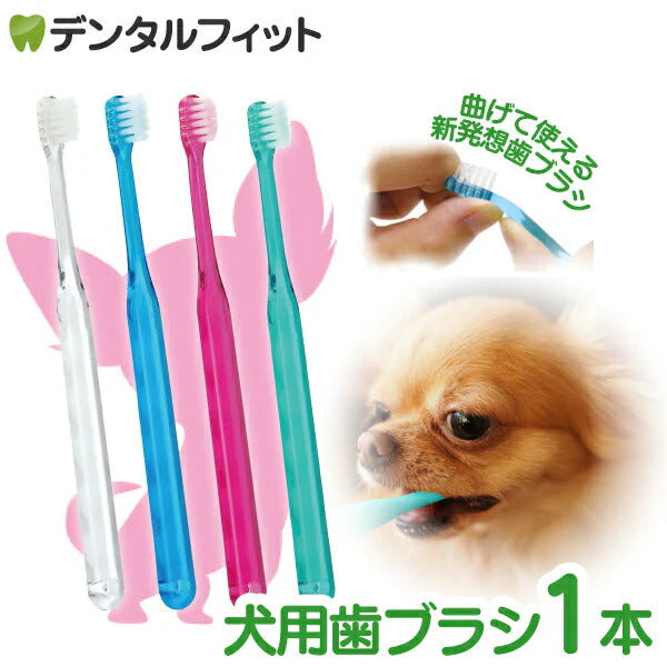 歯ブラシ 犬用歯ブラシ Ci シュワワ 1本 (色指定不可)【メール便送料無料】