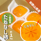 柿 和歌山県産 たねなし 約1kg (４〜５玉) ご家庭用 刀根 平たねなし 種無し 平核無柿 刀根 早生柿 送料無料 柿 カキ