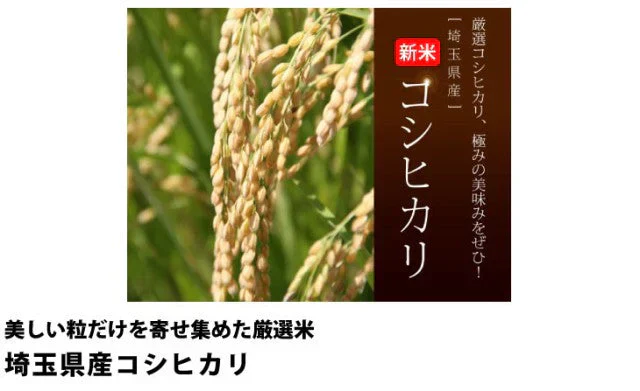 【新米】こしひかり　令和5年埼玉県産　20ｋｇ