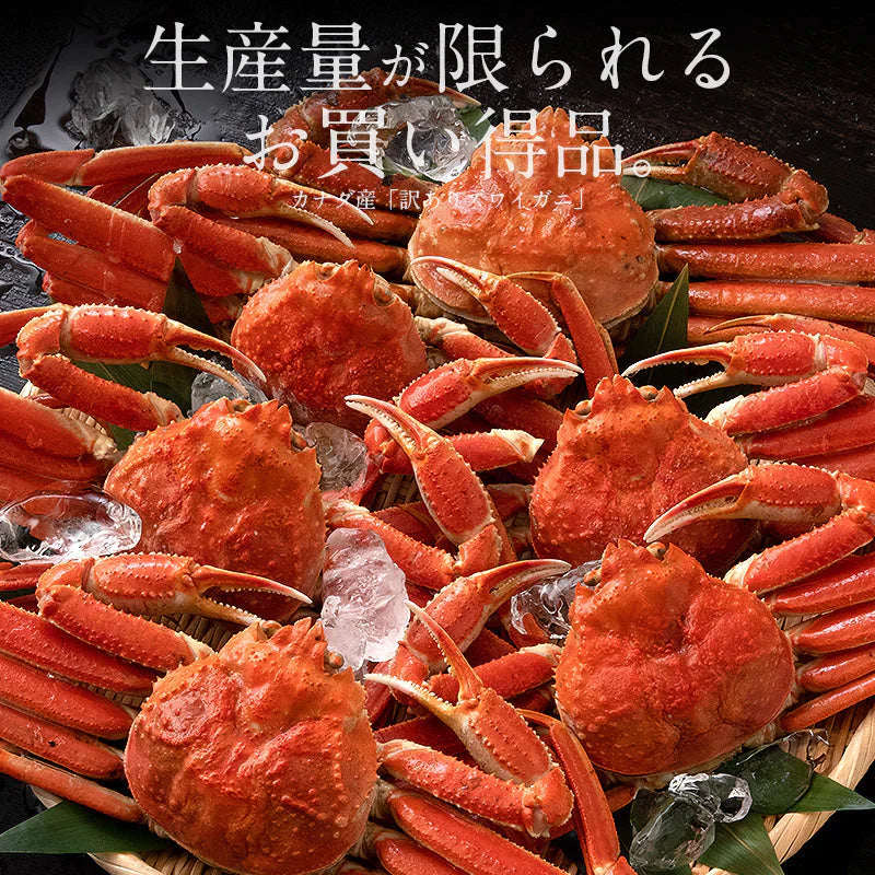 3kg 訳ありズワイガニ姿