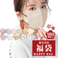 マスク180枚 ( 大人用ふつう（Lサイズ））マスク福袋