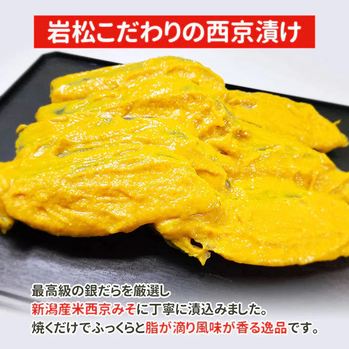 銀だら西京みそ漬け 7切 送料無料