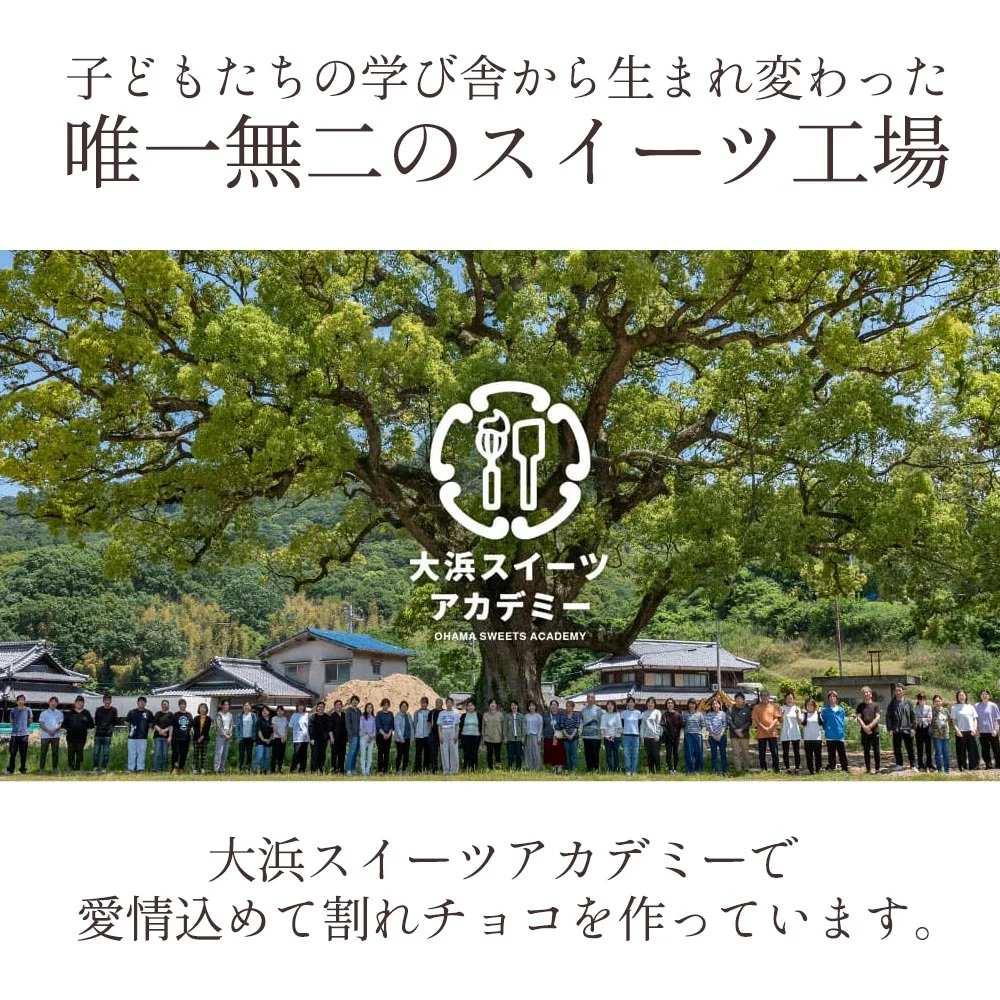 【割れチョコ】◆割れチョコスイート ショコラオレンジ 200g※配送時期：10月20日（火）以降、順次発送開始予定