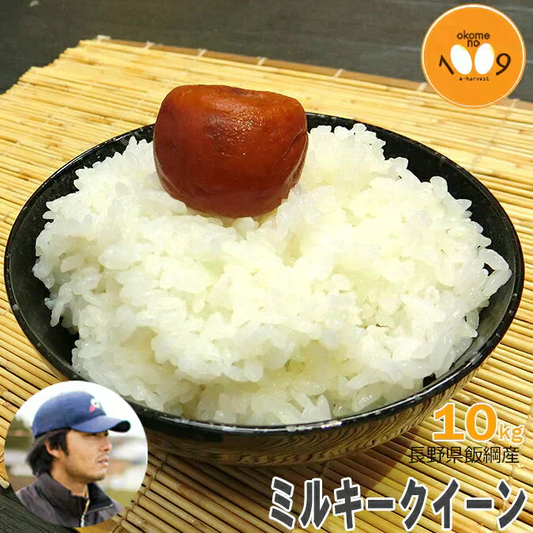 米 長野県飯綱産 ミルキークイーン 白米 10kg YOU優FARM 令和7年産