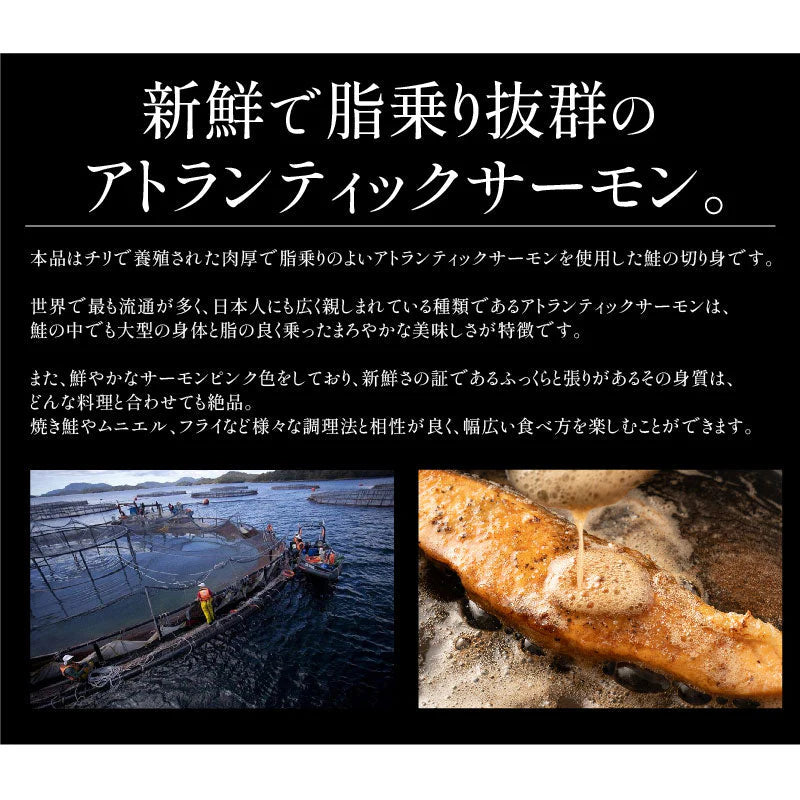 訳あり 鮭 切り身 1kg シミあり B級 お徳用 業務用 シミ 大容量 さけ 魚 さかな 冷凍 大量 お得 プレゼント ギフト ギフト ギフト プレゼント