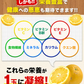 河内晩柑 約10kg (9kg＋不良果保証450g) 送料無料 和製 グレープフルーツ 約 10㎏ 旬 の フルーツ 果物 みかん 別名：夏文旦 愛南ゴールド 宇和ゴールド ジューシーみかん と同品種 晩柑 熊本県産《1-5営業日以内に出荷予定(土日祝日除く)》