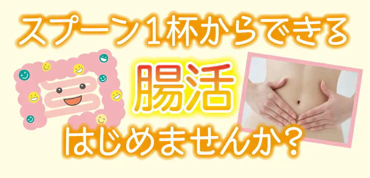 水溶性食物繊維＋生きてる乳酸菌パウダー500g／女王様のおすすめ！すごい食物せんい／芽胞乳酸菌までとれちゃいます。ぷるるん姫