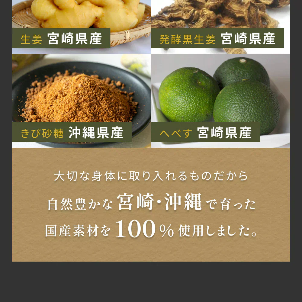 風土日和 国産 ジンジャーシロップ 無添加 熟成発酵黒生姜使用 賞味期限：2026年4月4日 | オーガライフ