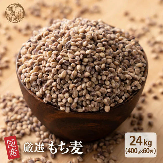 雑穀 雑穀米 国産 もち麦 24kg(400g×60袋) 業務用サイズ 無添加 無着色 送料無料 ダイシモチムギ