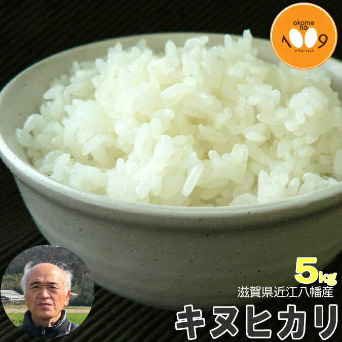 新米 滋賀県近江八幡産 キヌヒカリ 白米 5kg 令和6年産 内野営農組合 環境こだわり農産物