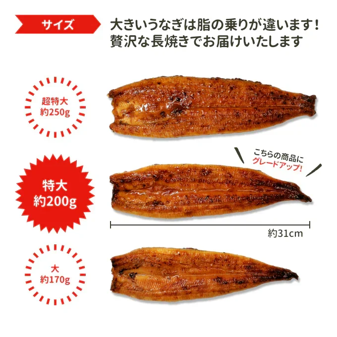 国産 うなぎ蒲焼き 約170g×4尾 送料無料 九州産 今だけ200gにグレードアップ