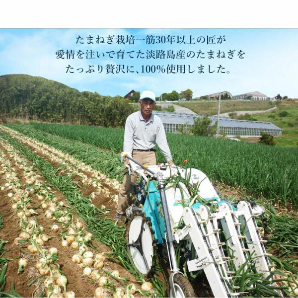 淡路島 たまねぎスープ 30包 食品 お試し オニオン 玉ねぎ タマネギ スープ 調味料 送料無料