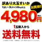 大玉 すいか  6kg以上 熊本県産 【6月中旬-7月上旬より出荷予定】 送料無料 スイカ 訳あり ジャンボスイカ   熊本 旬 の 果物 夏 キャンプ 家庭用 自家用 フルーツ 果物 甘い