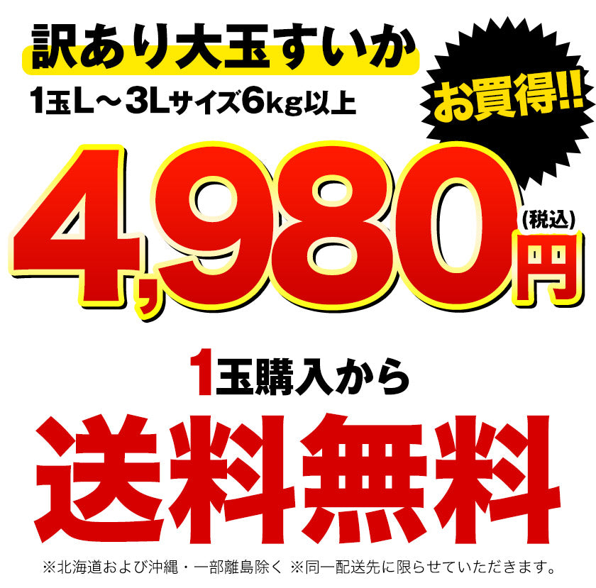 大玉 すいか  6kg以上 熊本県産 【6月中旬-7月上旬より出荷予定】 送料無料 スイカ 訳あり ジャンボスイカ   熊本 旬 の 果物 夏 キャンプ 家庭用 自家用 フルーツ 果物 甘い