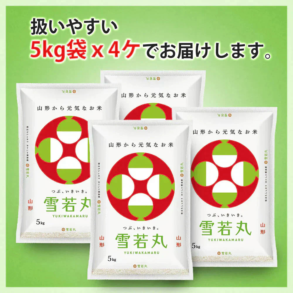 雪若丸 玄米 20kg (5kg×4袋) 山形県産 令和7年産 送料無料 米 20キロ こめ コメ お米 新米 お米20kg 雪若丸20kg 雪若丸20キロ