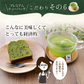 日本橋いなば園 プレミアムティーバッグ緑茶 2g×20包 メール便送料無料 お茶 ティーバック ギフト 贈り物 プレゼント 香典返し お礼 お茶 ティー ティーパック パック プチギフト 贈物 新居祝い 引越し 茶匠庵 いなば園