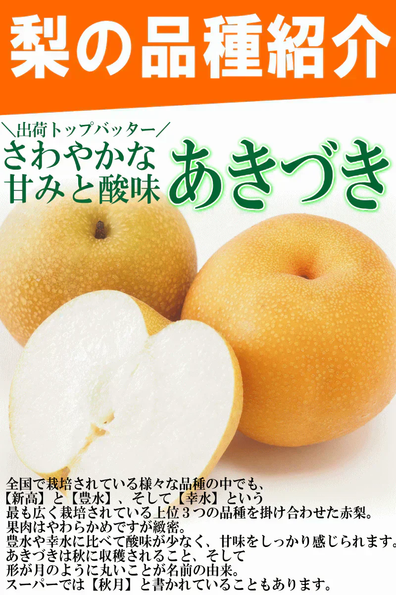 福島県産 梨 なし 2kg箱 ★秀品★品種おまかせ