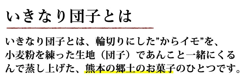 いきなり団子 白（小豆あん）10個入り 送料無料 熊本名物 肥後屋 モチモチ食感の和スイーツ お取り寄せ 和菓子 団子 あんこ もち