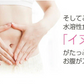 日本橋いなば園 国産ごぼう茶ティーバッグ 20包 ネコポス メール便送料無料