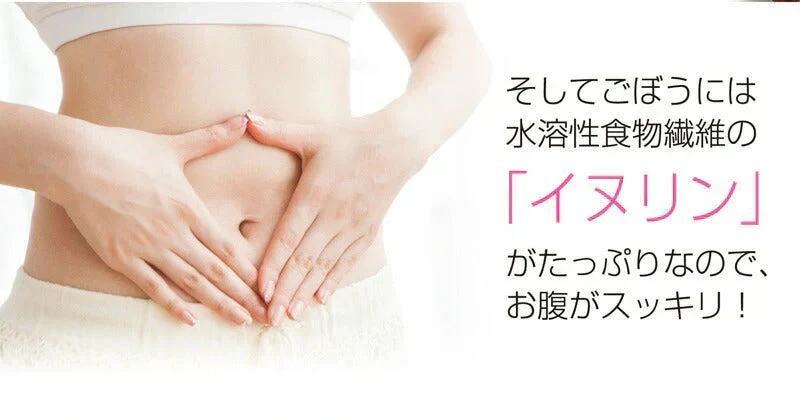 日本橋いなば園 国産ごぼう茶ティーバッグ 20包 ネコポス メール便送料無料