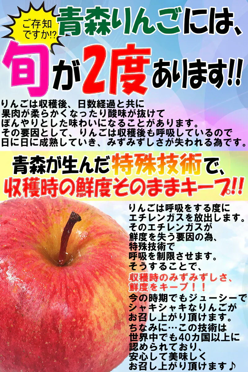 青森県産 りんご サンふじ 2kg箱 家庭用 ★サンふじ 家 2kg 箱