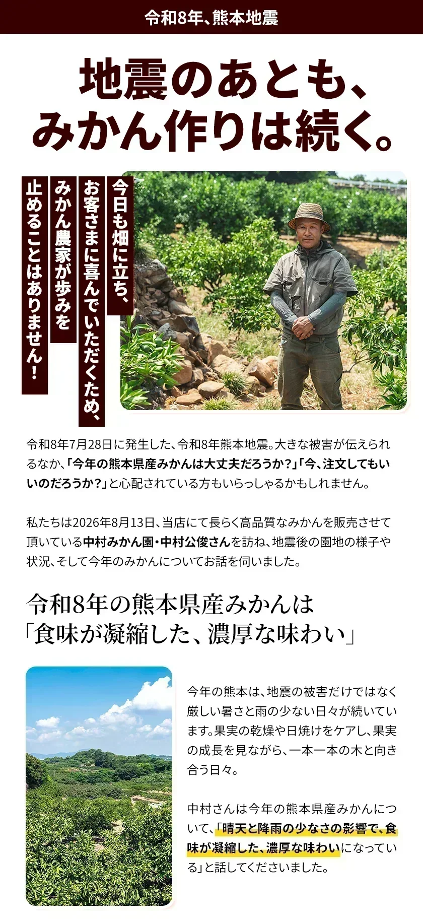 産地直送 熊本県産 みかん 訳あり 1.5㎏ 小玉みかん 送料無料 熊本ミカン 大玉 小玉 サイズ不選別 規格外 果物 柑橘 九州 訳アリ 蜜柑 みかん  《10月中旬ー11月下旬頃に出荷予定》