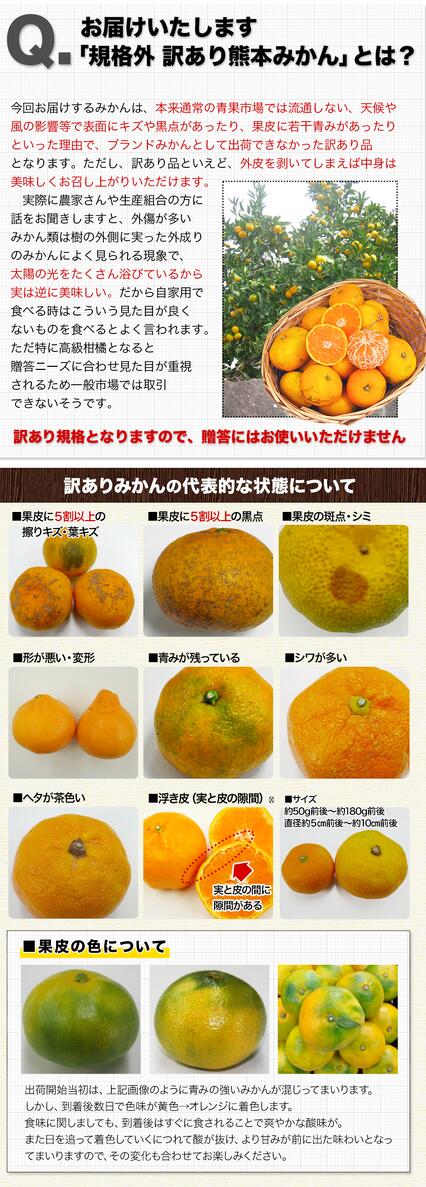 熊本 みかん 訳あり 9kg 熊本県産 熊本 小玉 不選別 みかん 家庭用 送料無料 早生 ミカン フルーツ お取り寄せ 柑橘 フルーツ 果物  《10月中旬-11月中旬に出荷予定》