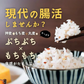 雑穀米本舗 国産 麦の恵み24穀米ブレンド 800g 水溶性食物繊維 無添加 無着色 【カウシェファーム収穫対象商品】