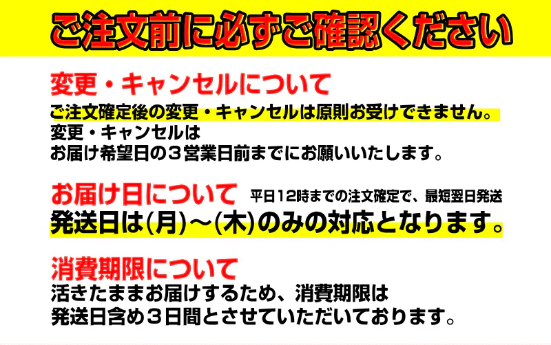 8月中旬まで限定販売　青森県野牛産　活ほたて　大サイズ　5キロ　むきへら付き