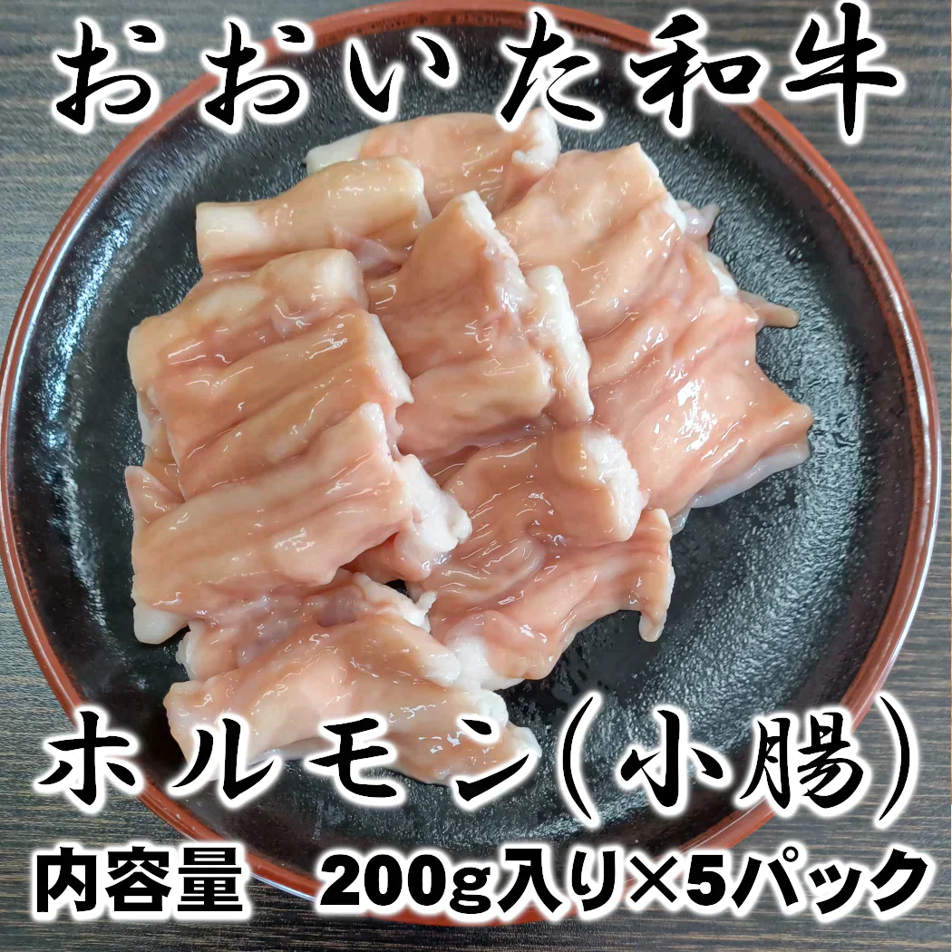 【おおいた和牛】　ホルモンカット（小腸）　200ｇ×5パック（計1kg）