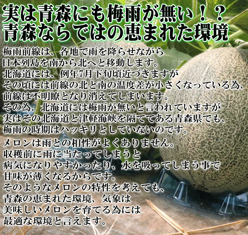 【冷蔵便】青森県産 つがるメロン 2玉(優～秀品 1玉約1.0kg～1.2kg×2玉入り)