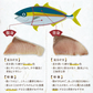 ブリ満足セット約945g（ブリ刺身3パック、ブリ漬け3パック）