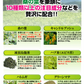 極強緑痩桑の葉茶【大容量30包入り】 10種類以上の和漢を濃縮配合 ダイエット茶 ダイエットティー 桑の葉ダイエット ダイエット飲料 和漢 ダイエット茶 ダイエットドリンク ダイエットティー 極強緑痩桑の葉茶 桑の葉、キャンドルブッシュ、エビス草、ハトムギ、凍頂烏龍茶粉、杜仲茶、ドクダミ、国産生姜、黒豆、プーアル茶、トウキシ、グリーンマテ、ローズヒップ