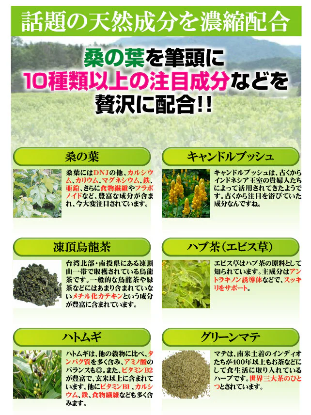 極強緑痩桑の葉茶【大容量30包入り】 10種類以上の和漢を濃縮配合 ダイエット茶 ダイエットティー 桑の葉ダイエット ダイエット飲料 和漢 ダイエット茶 ダイエットドリンク ダイエットティー 極強緑痩桑の葉茶 桑の葉、キャンドルブッシュ、エビス草、ハトムギ、凍頂烏龍茶粉、杜仲茶、ドクダミ、国産生姜、黒豆、プーアル茶、トウキシ、グリーンマテ、ローズヒップ