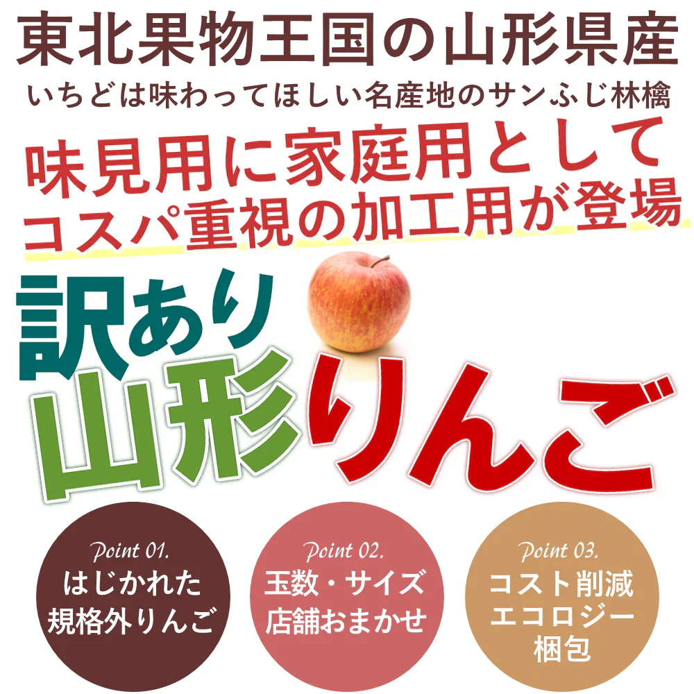【12月上旬-下旬頃ご注文受付順次】訳ありりんご サンふじ 約3kg バラ詰め 山形産 林檎 リンゴ ふじ フジ 訳あり サイズ混合