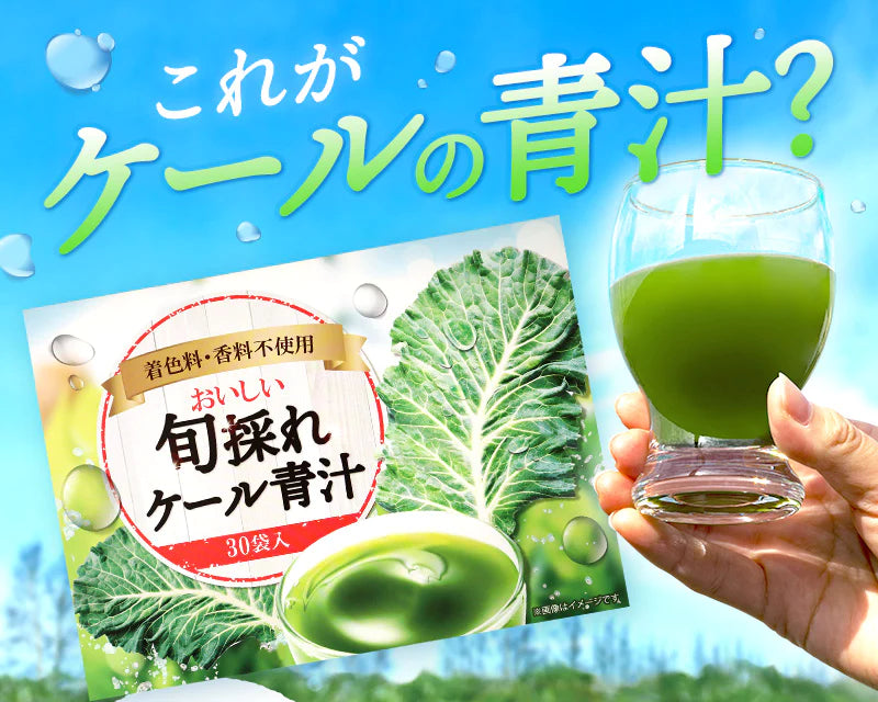 おいしい旬採れケール青汁　３袋入（ ケール 青汁 健康飲料 野菜 飲みやすい 緑茶 お茶 サプリメント ）【販売終了】