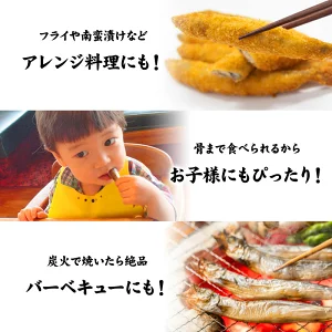 子持ちししゃも 3kg（500g×6袋）［冷凍］【4～5営業日以内に出荷】【送料無料】