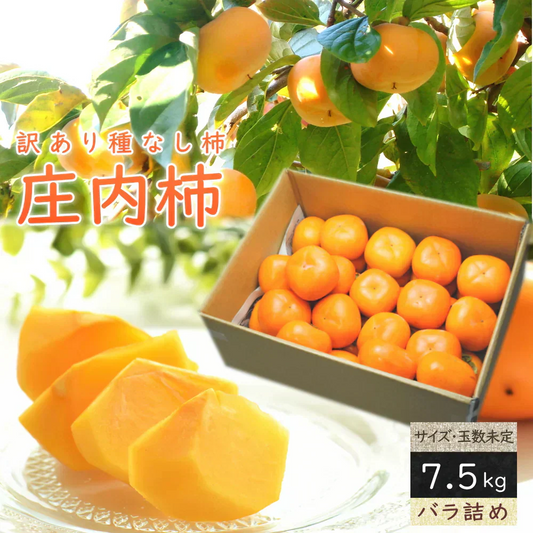 【11月上旬-下旬頃ご注文受付順次】訳あり庄内柿7.5kg前後バラ詰め　種なし柿を産地直送でお届け！ご家庭用にちょっと訳あり柿を特盛りで届け