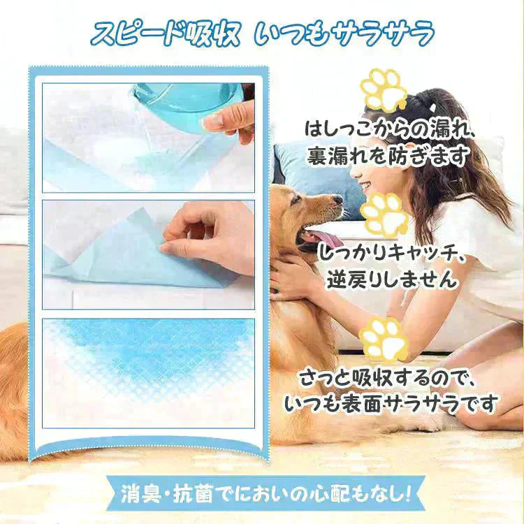 ペットシーツ 「レギュラーS 400枚」 薄型 トイレシート ポリマー スピード吸収 トイレ トレーニング 吸い取り 消臭 抗菌