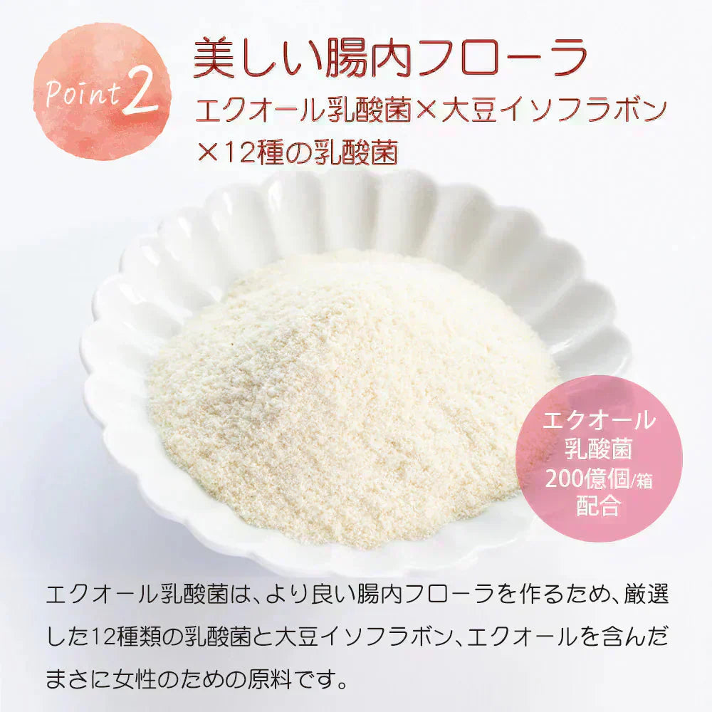 【美容成分たっぷり】フルーツ高麗人参60g(3g×20包) 高麗人参 6年根 ｴｷｽ 韓国産 サポニン 漢方 田七人参 更年期 サプリメント 酵素 フラボノイド 血圧 エクオール ビーツ めぐり ホットフラッシュ 女性ホルモン イライラ 便秘 発酵 イソフラボン
